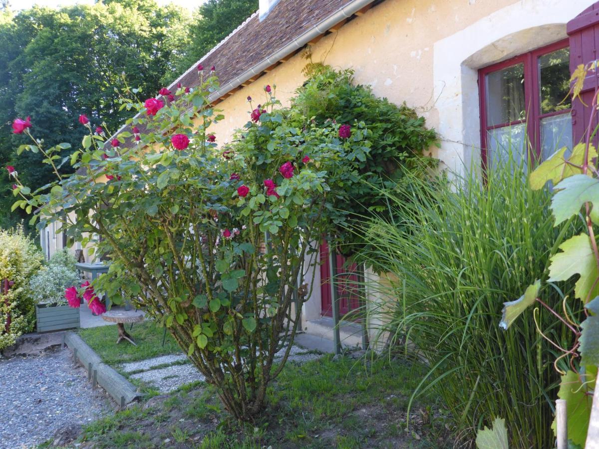 La Petite Bardouillere Villa Courdemanche  Luaran gambar