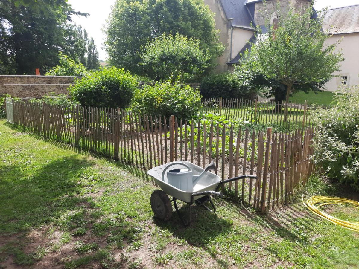 La Petite Bardouillere Villa Courdemanche  Luaran gambar